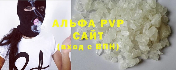 стафф Каменск-Шахтинский