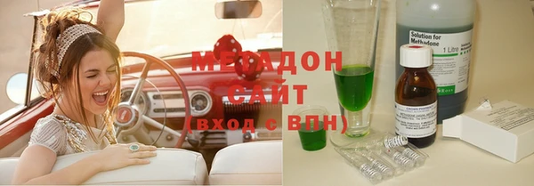 шишки Инсар
