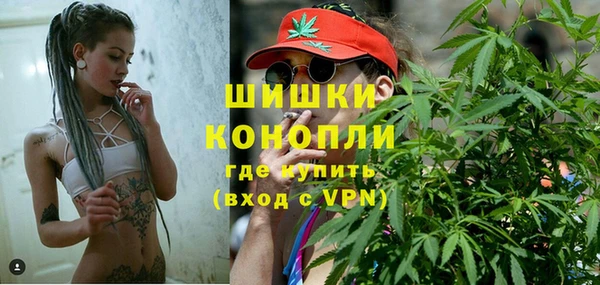 МДПВ Козловка