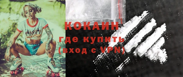 2c-b Каменка
