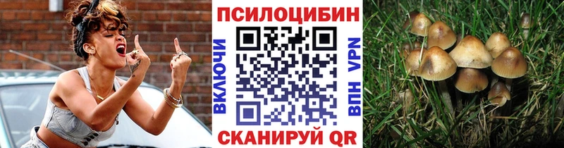 Псилоцибиновые грибы ЛСД  Купить закладки  Киселёвск 